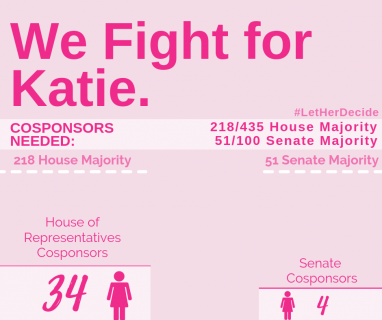 The Fight For Katie
