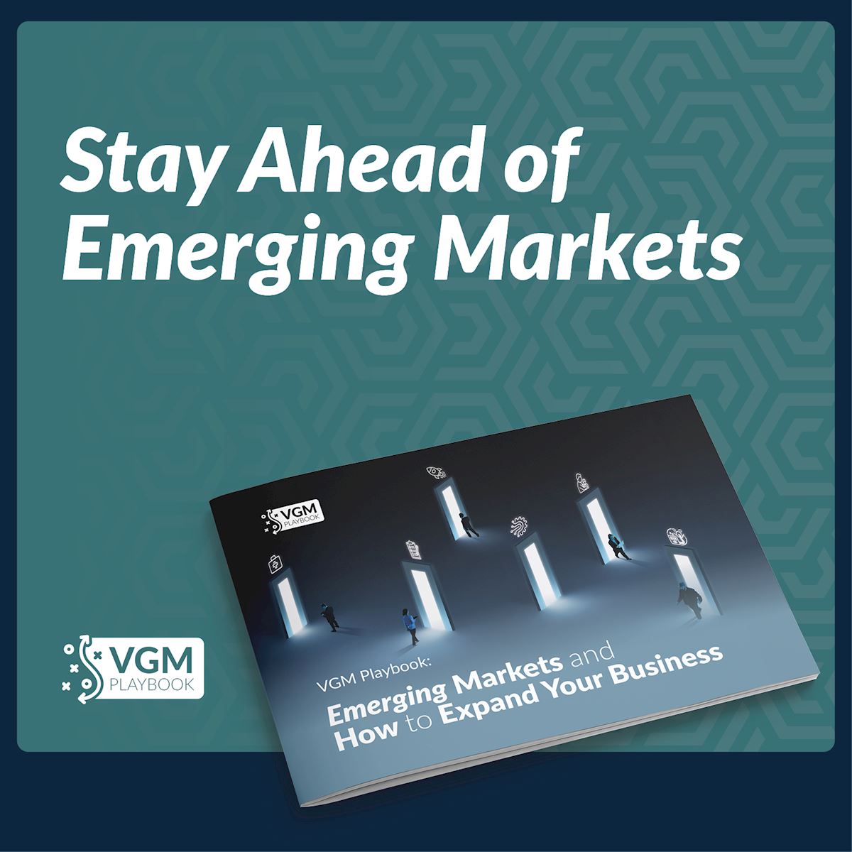 VGM Playbook: Emerging Markets and Business Growth