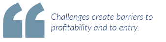 Challenges create barriers to profitability and to entry.
