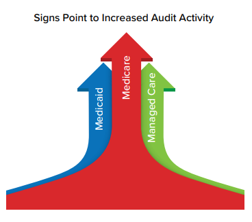 Signs Point to Increased Audit Activity