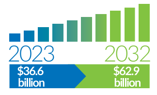 This sector is on track to soar from $36.6 billion in 2023 to an impressive $62.9 billion by 2032
